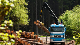 Перевозка леса в Санкт-Петербурге